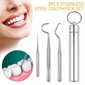 Portable Stainless Steel Toothpick Set