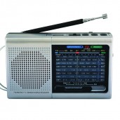 Portable Bluetooth FM/AM Radio